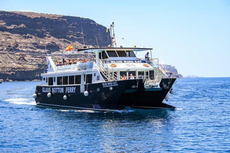 Boat Tours