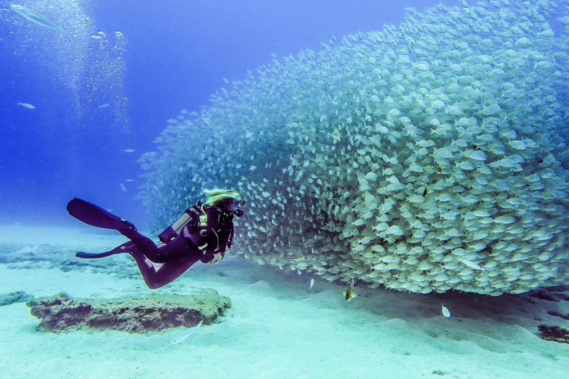 Scuba Diving