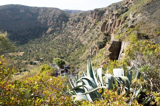 Montaña de Bandama