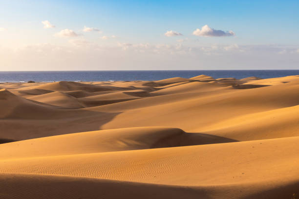 Dunas de Maspalomas