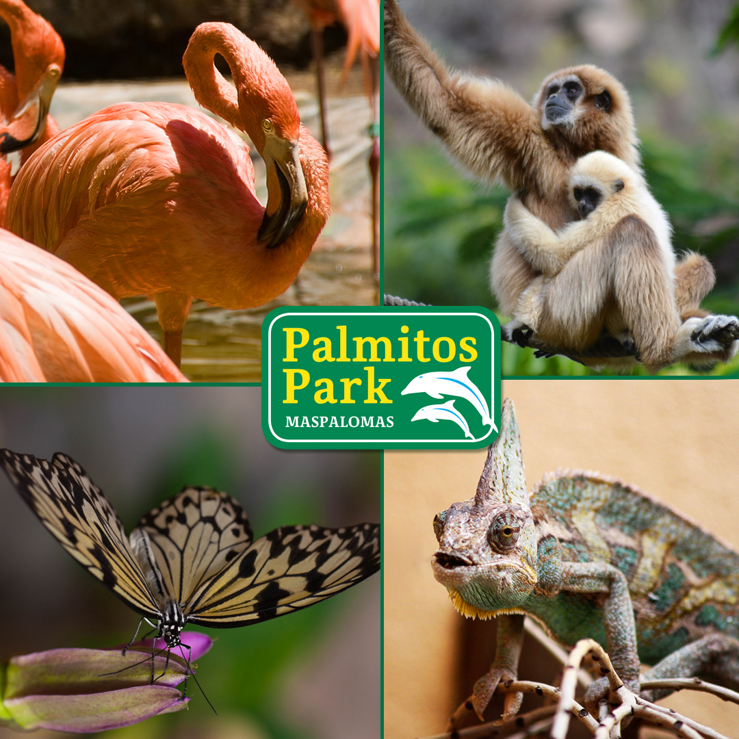 Palmitos Park